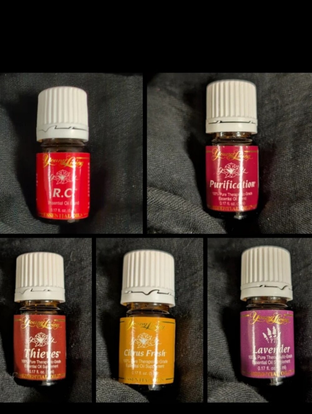 🆕 Young Living Essential Oils Bundle Of 5 Oils + FREE TRAVEL FAN DIFFUSER!